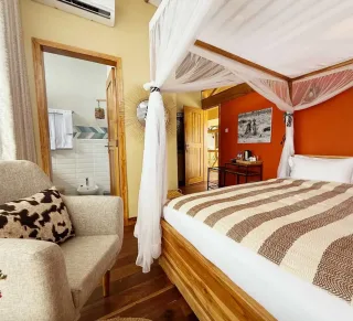 Lodge 06 6col Cheetah 5520