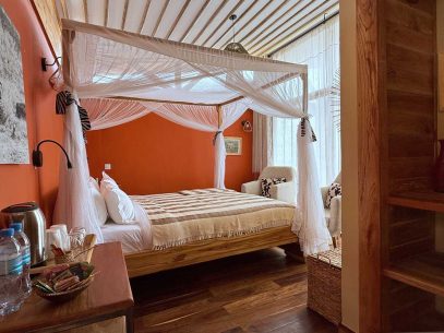 1 2026 02 Cheetah 1000p 5519