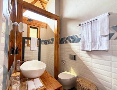 3 2026 02 Cheetah Bad 1000p 5523