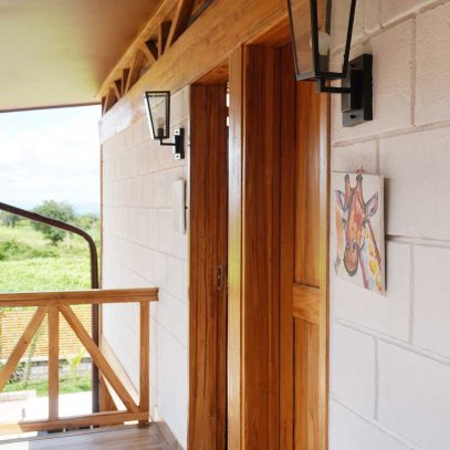 4 2025 05 Giraffe 1000p 00850