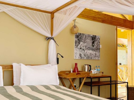 11 2026 02 Leopard 1000p 5512