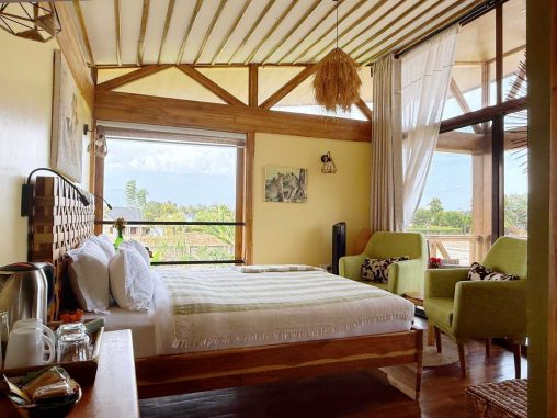 15 2026 02 Lion 1000p 5480