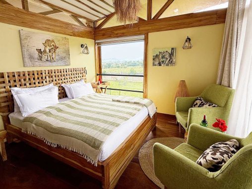 16 2025 07 Lion 1000p 1796