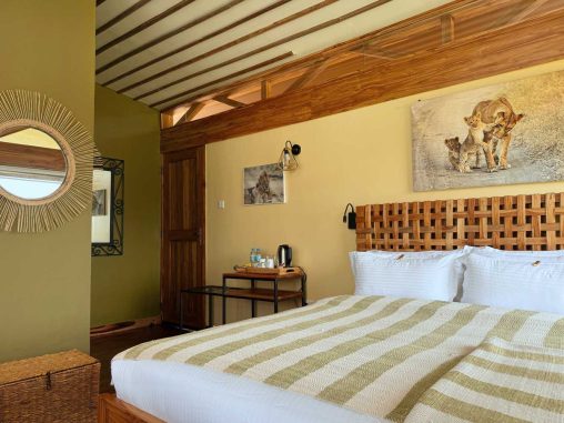 17 2026 02 Lion 1000p 5479