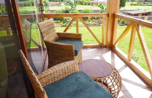 19 2025 05 Lion Balcony 1000p 00757