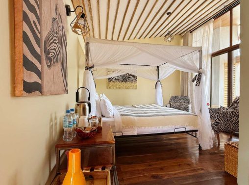 20 2026 02 Zebra 1000p 5498