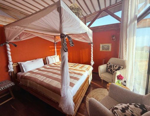 2 2025 07 Cheetah 1000p 1727