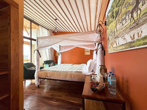 5 2026 02 Giraffe 1000p 5528