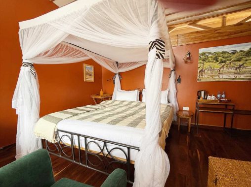 7 2026 02 Giraffe 1000p 5539