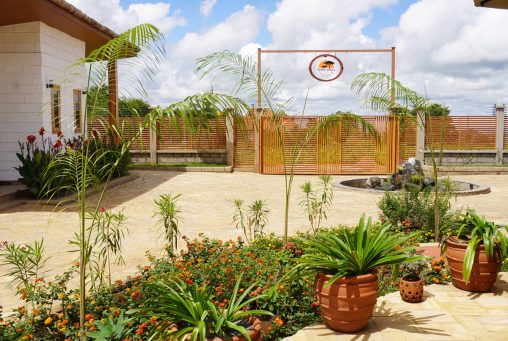 Moyoni Africa Lodge Tours 11