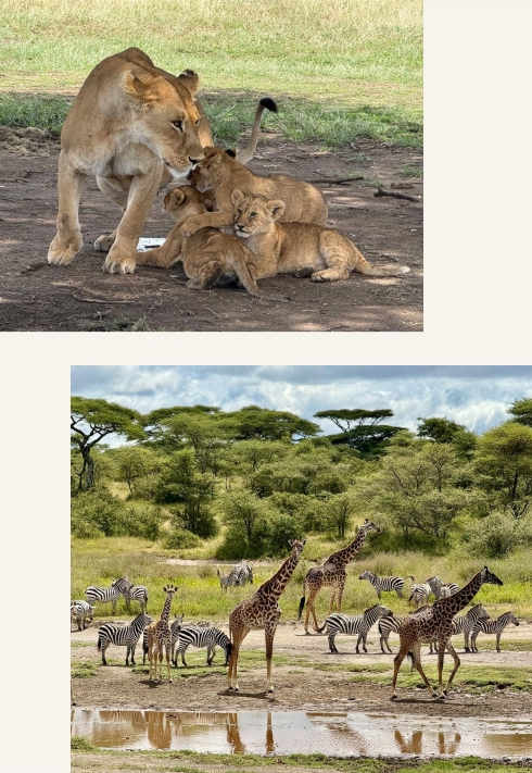 Moyoni africa tours 2025 06